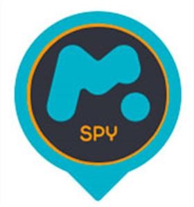 What Does Mspy Show