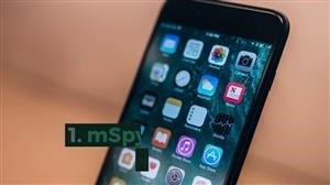 Mspy Lite Phone Tracker App Itunes