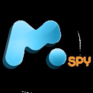What Does Invalid Api Key Mean Mspy
